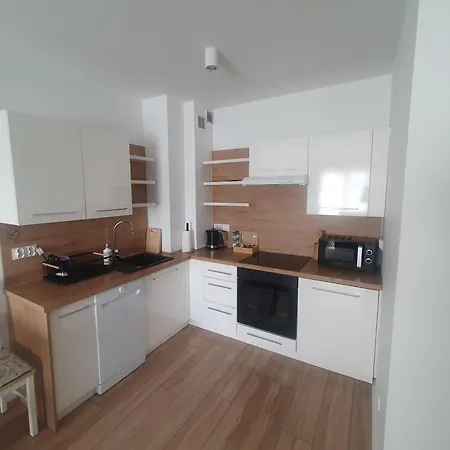 Nova Wozownia Free Parking Апартаменты Лешно