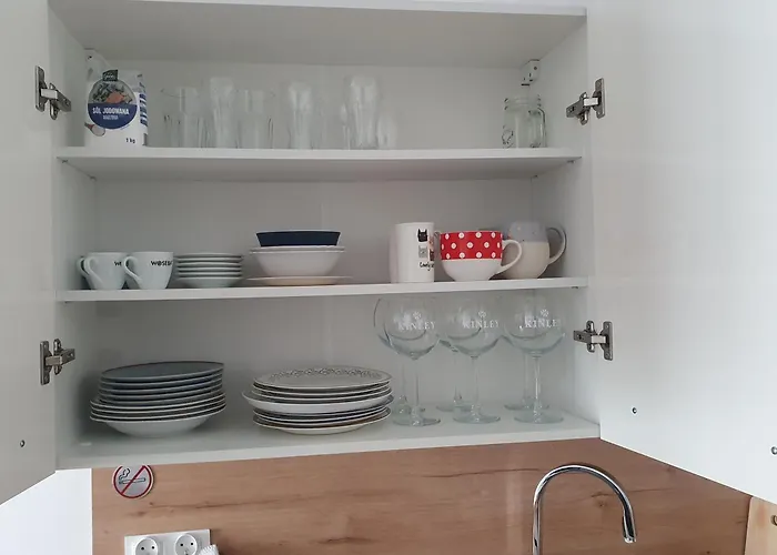 Apartment Nova Wozownia Free Parking Leszno (Greater Poland)